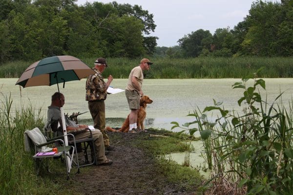 A group of people fishing on the shore of a lake.